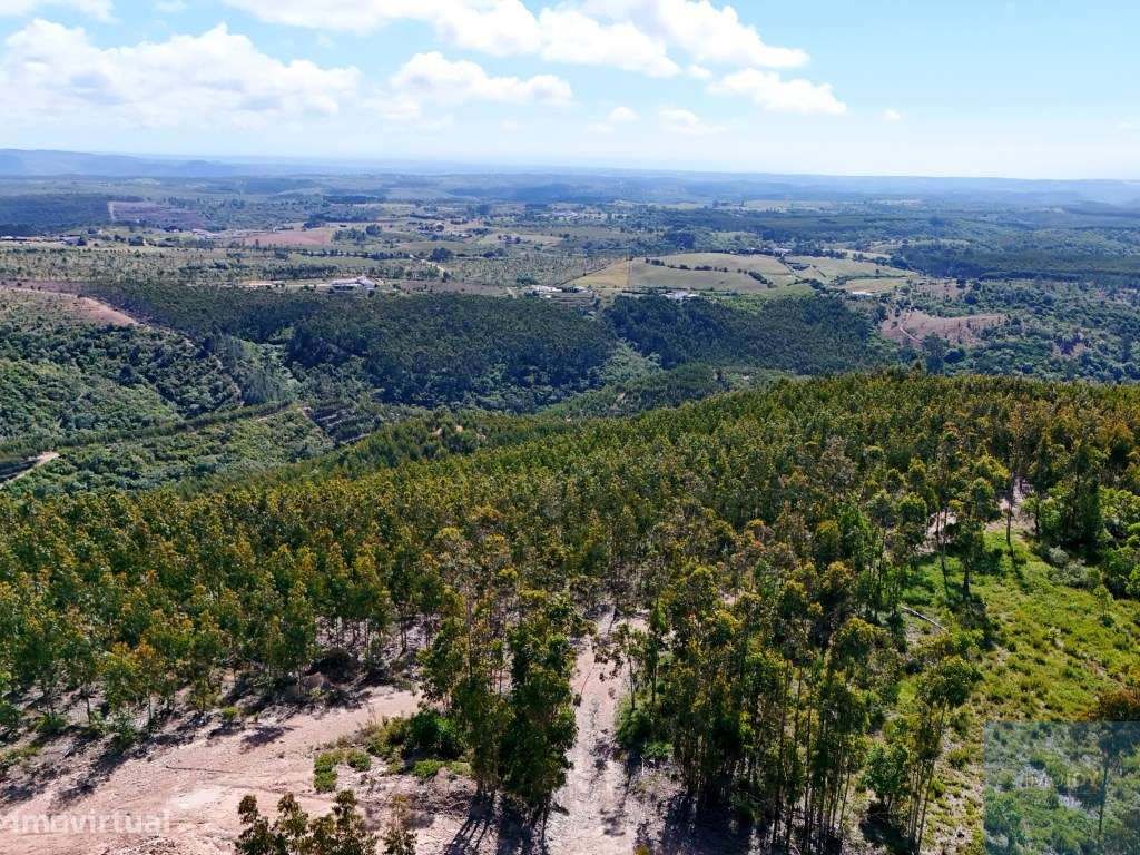 Terreno em São Teotónio, Odemira-18