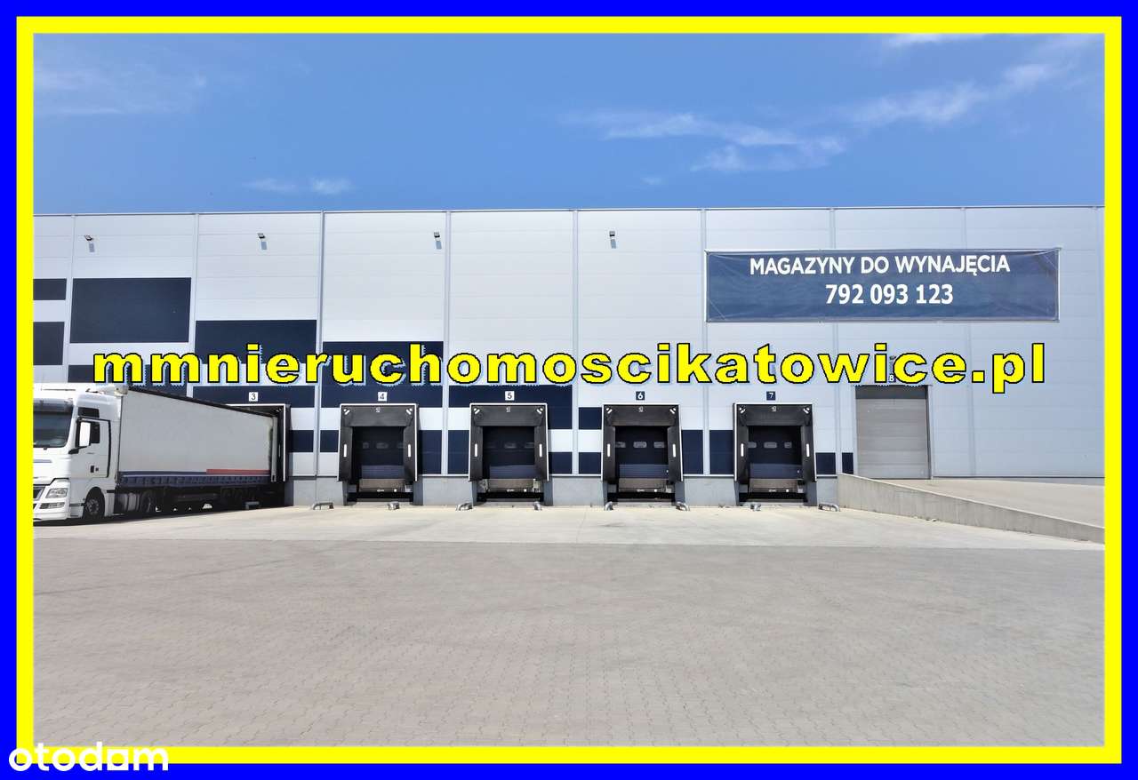 Magazyn z biurem, brama z poziomu 0 i dok Śląsk – BEZ PROWIZJI! - Pełny obrazek: 4/13