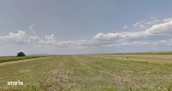 Teren extravilan cota parte 1/3 Cernatesti , ID: R2586146 - Imagine principală: 3/8