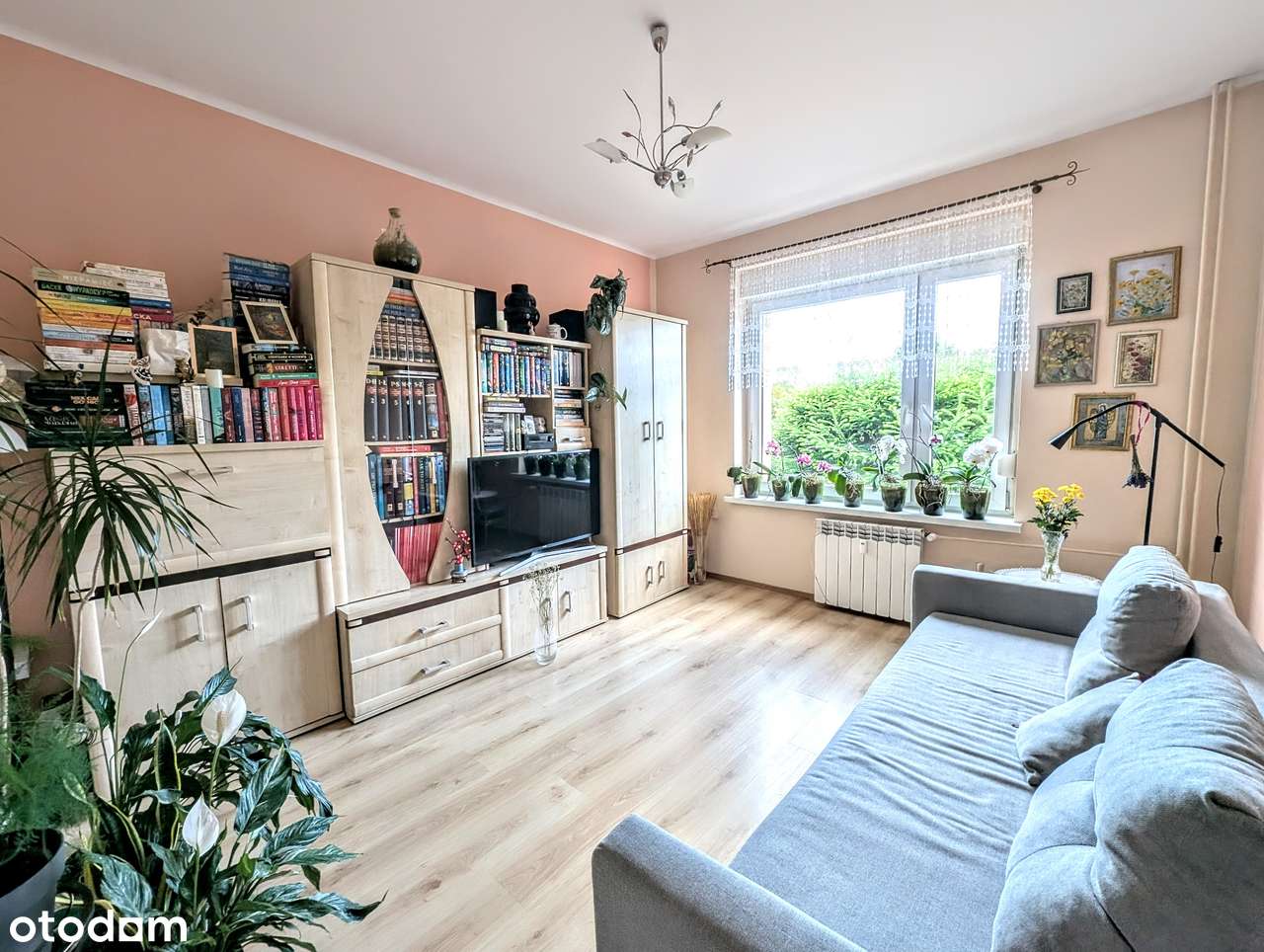 Mieszkanie ul. Kościuszki, 1 piętro, 2 pokoje, balkon, piwnica - Pełny obrazek: 5/13