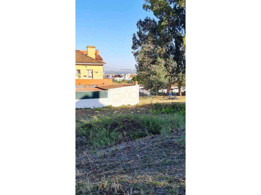 Terreno de 2455m2 com PIP para construção de prédio com 4 apartamen...-13