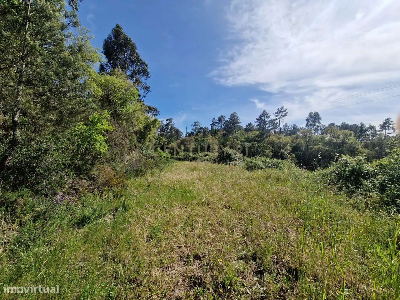 Terreno para venda em Ansião - Grande imagem: 4/10