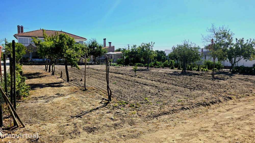 Quinta  com Moradia T6, Casa T2, Piscina Aquecida -  Salvaterra de Mag-22