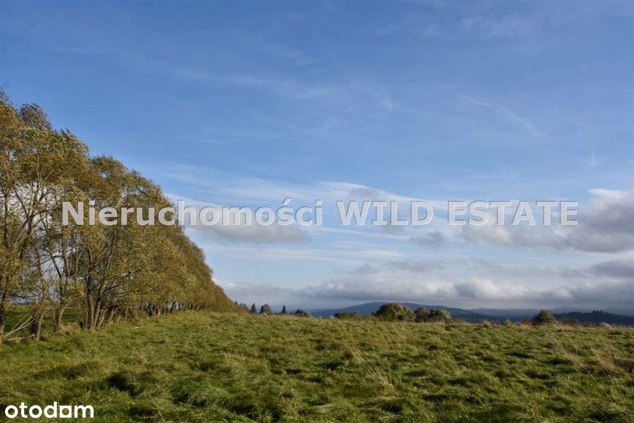 Działka, 23 800 m², Lutowiska - Pełny obrazek: 4/6