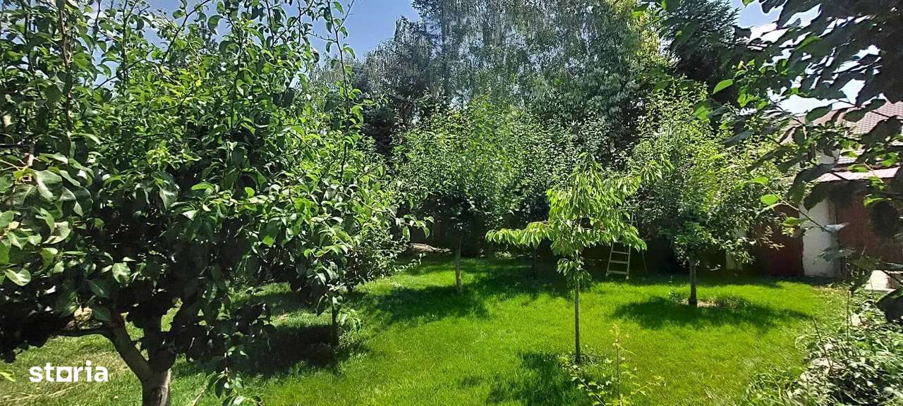 Vila cu 8 Camere Corbeanca | Piscina | Semineu | Sauna | Curte 2300mp - Imagine principală: 5/20