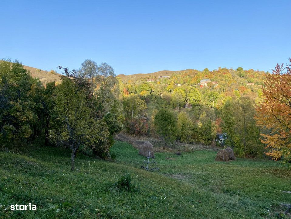 Teren potential turistic, vedere panoramica, la drumul spre Muntii Bai