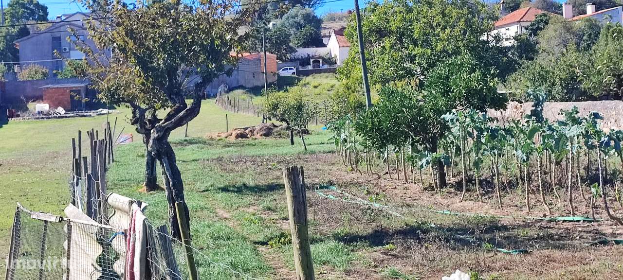 Casa de Habitação com Grande Terreno a 9 minutos da Figueira-31