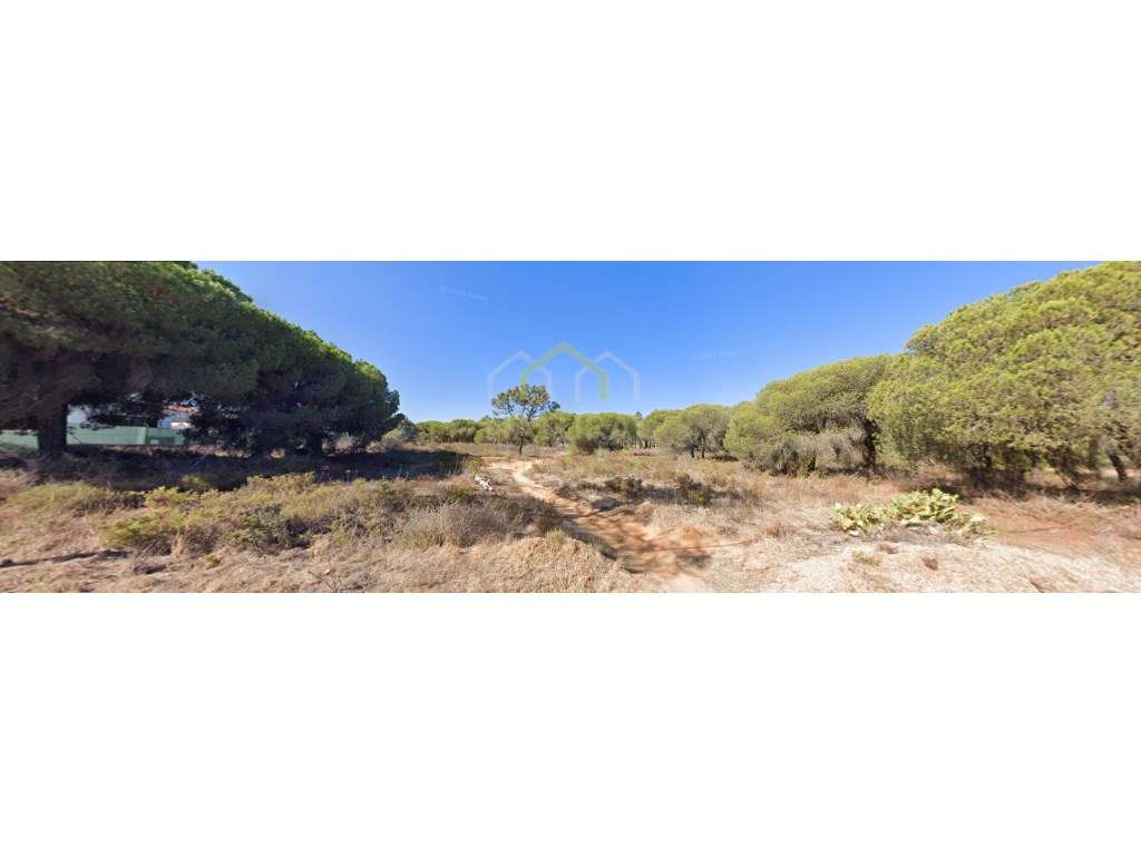 Terreno Rústico de 28.400m² Próximo ao Hospital das Gambelas, Faro - Grande imagem: 5/5