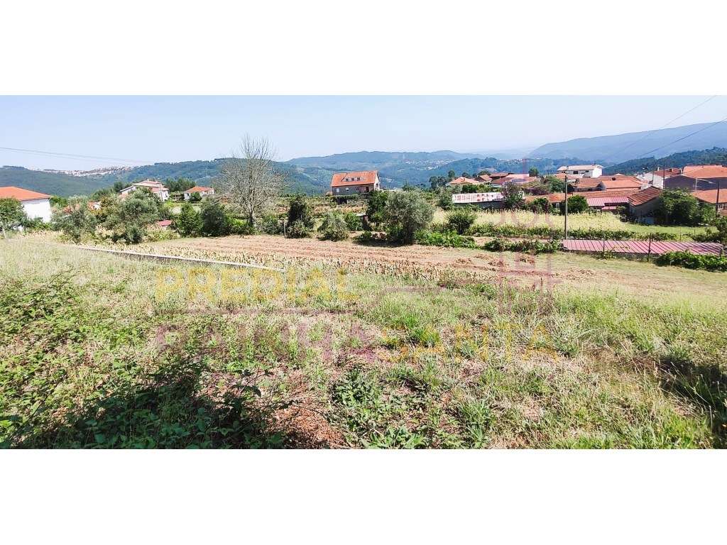 Moradia terreno 16 km Coimbra 8 km ( V. N. de Poiares ) - Grande imagem: 5/15