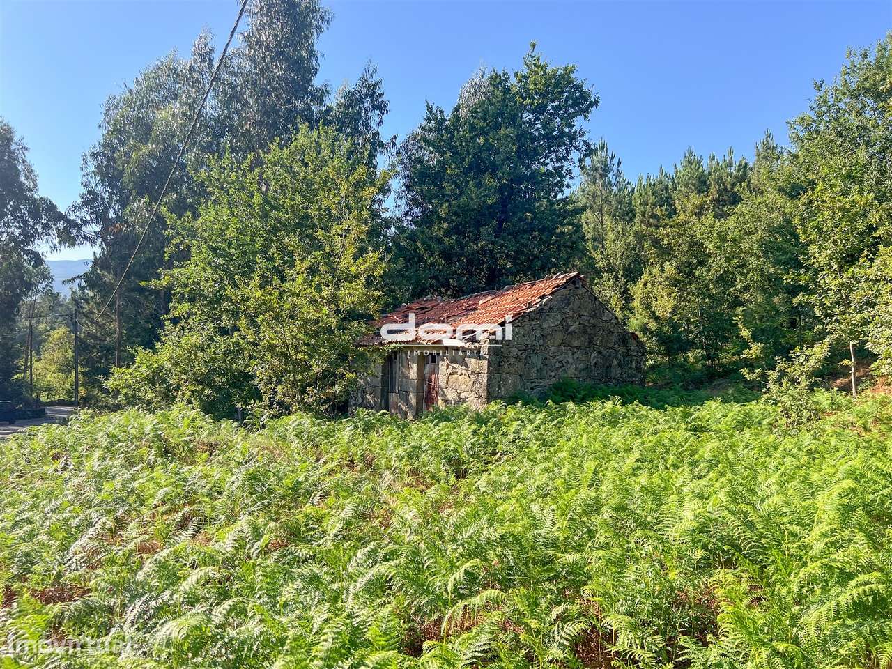 Ruína em Pedra com Terreno Urbano em Bordonhos – Potencial de Construç - Grande imagem: 4/5