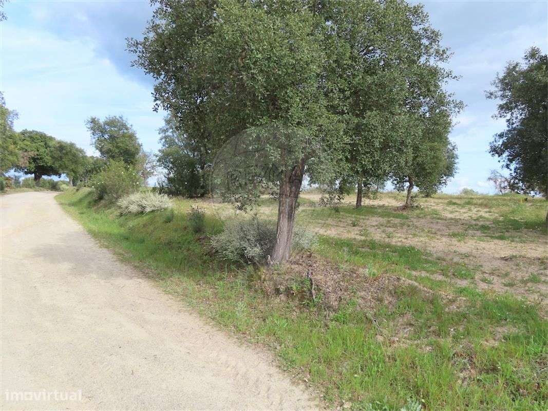 Quinta  para venda - Grande imagem: 3/23