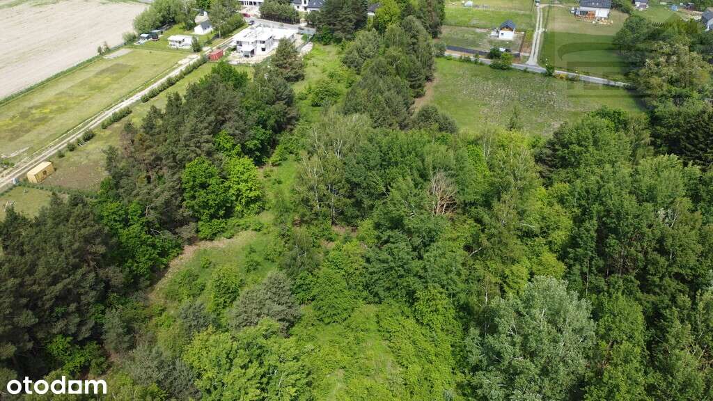 Wyjątkowa działka w Tereni - Pełny obrazek: 5/8