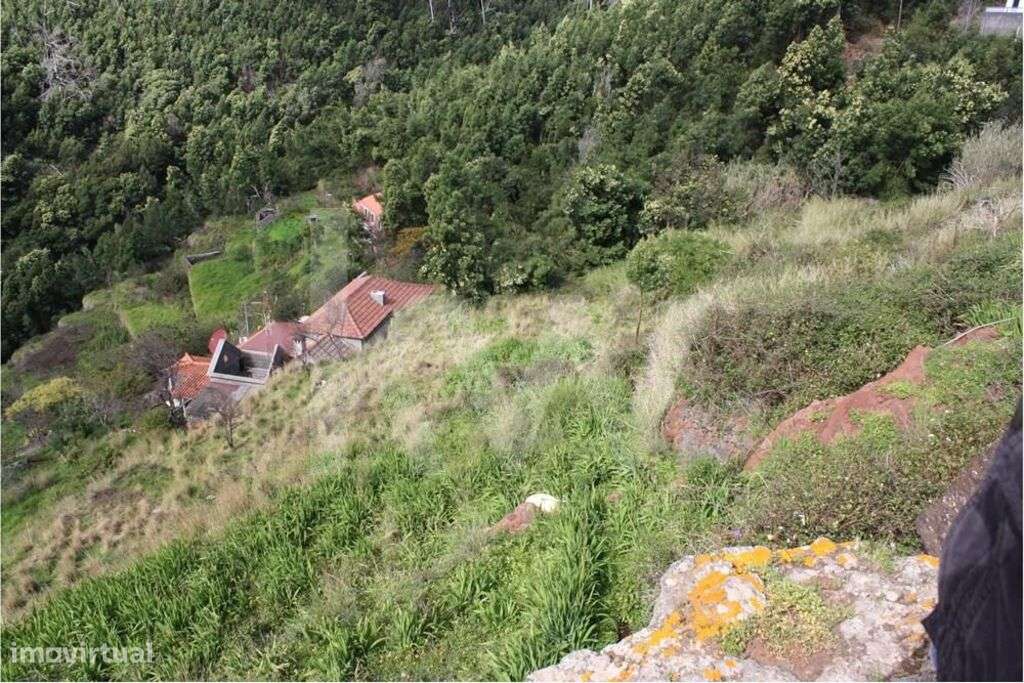 Terreno para construção situado em Gaula, Santa Cruz com 2940 m2 | Opo - Grande imagem: 5/9