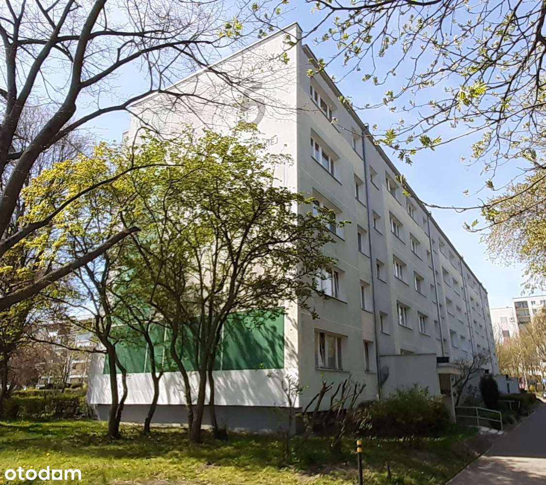 Mieszkania Na Sprzedaż Gdańsk Morena Olx