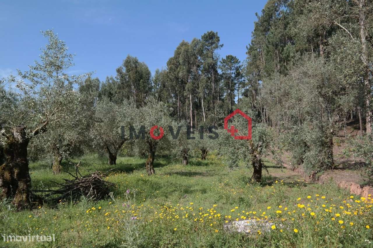 Terreno - Grande imagem: 2/3