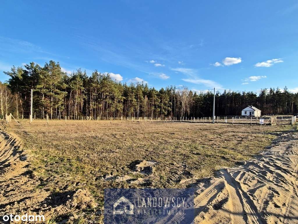 Słoneczna działka przy lesie | Kociewie - Pełny obrazek: 4/19
