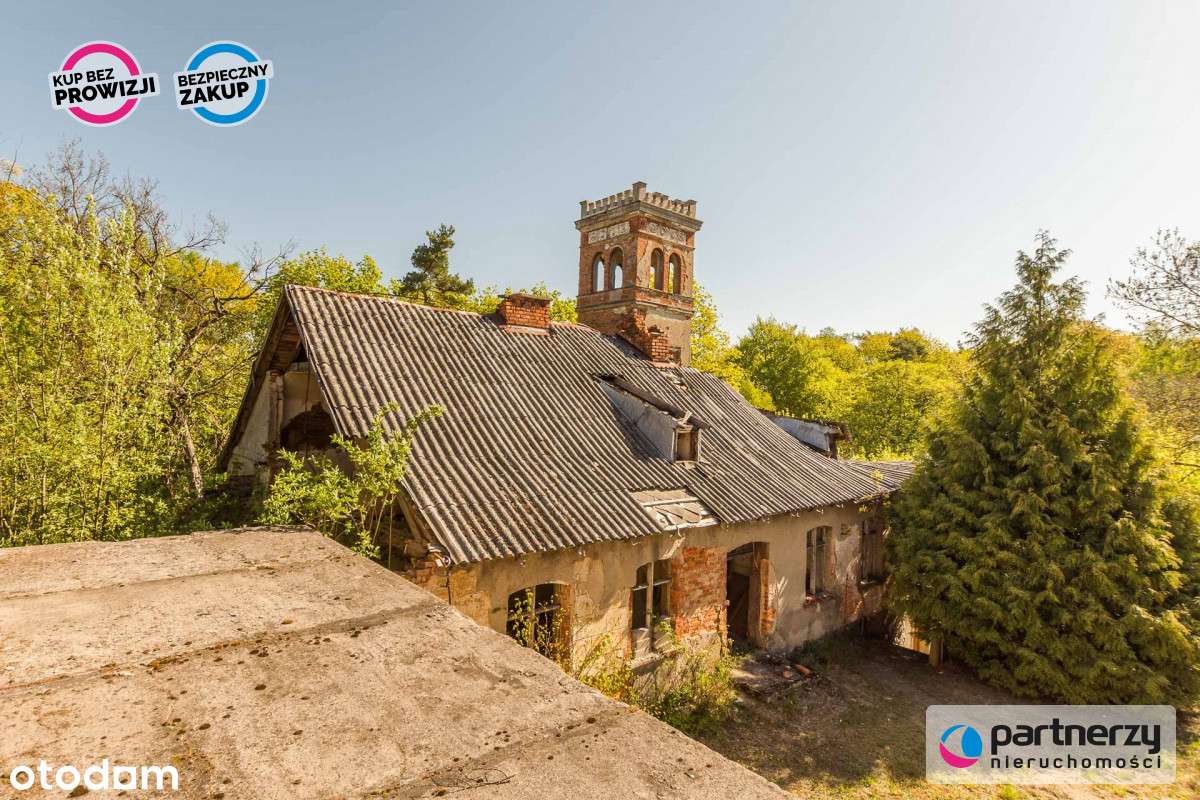 Dwór z Xix w. z parkiem 5hh. Film w opisie. - Pełny obrazek: 4/20