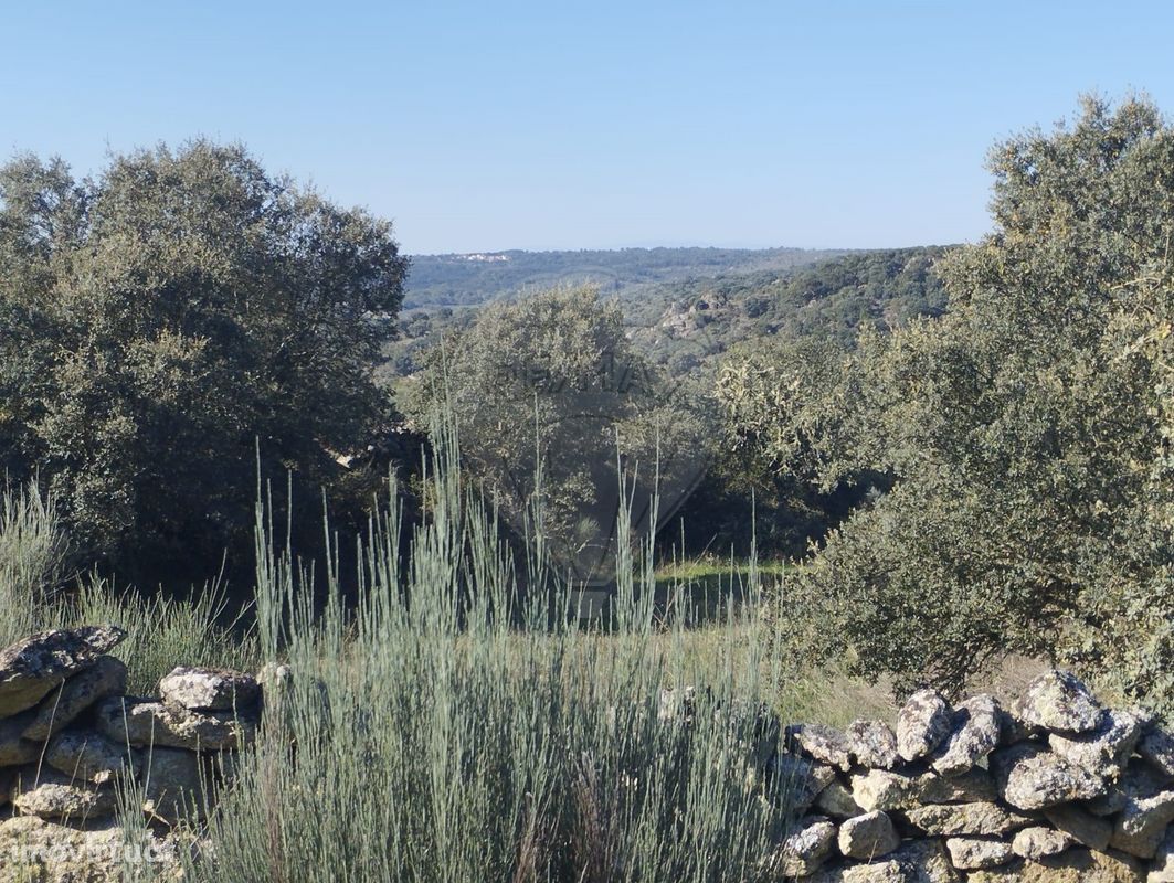 Terreno  para venda