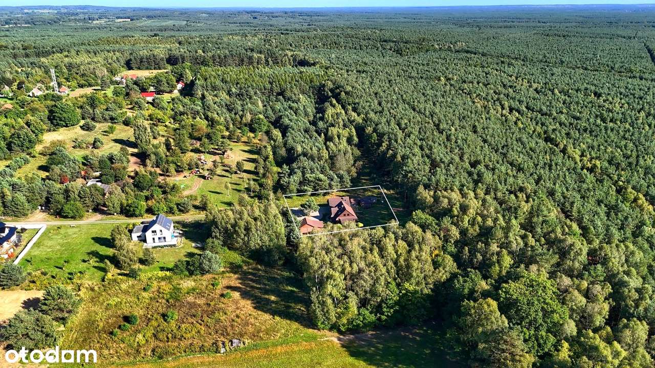Dom z bali w sercu lasu / 2450m2 działki / Holendry, gm. Dobroszyce - Pełny obrazek: 5/19