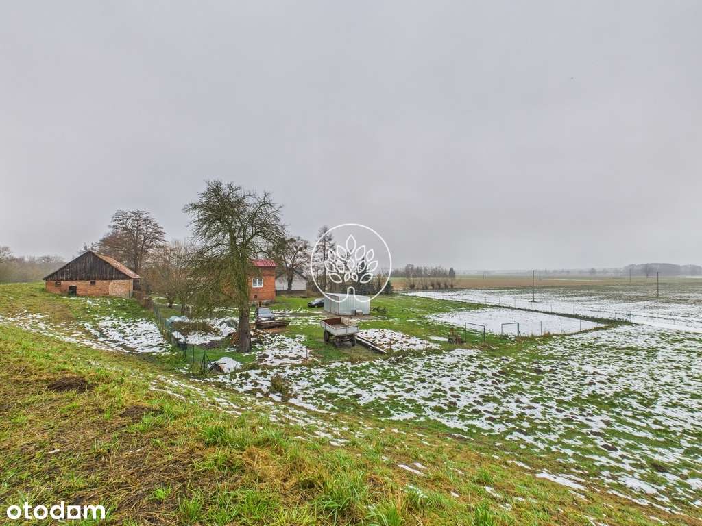 Gospodarstwo Pędzewo-19