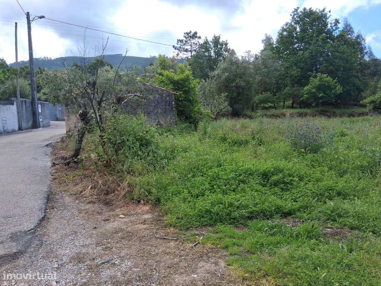 Moradia para Restaurar com Terreno Urbano – Cadaixo, Miranda do Corvo-28