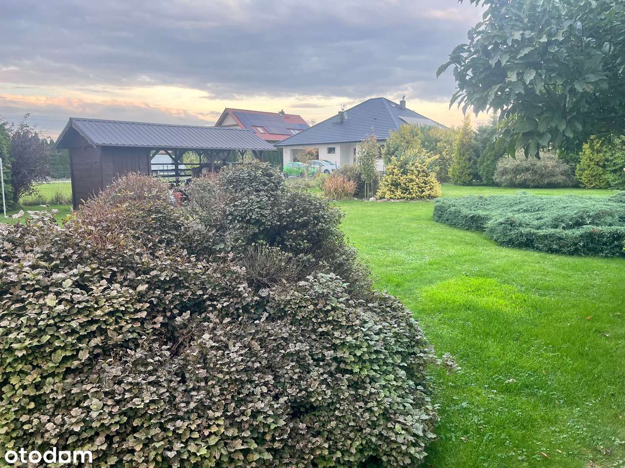 Nieciszów / Ekonomiczny / Piękny Ogród-4