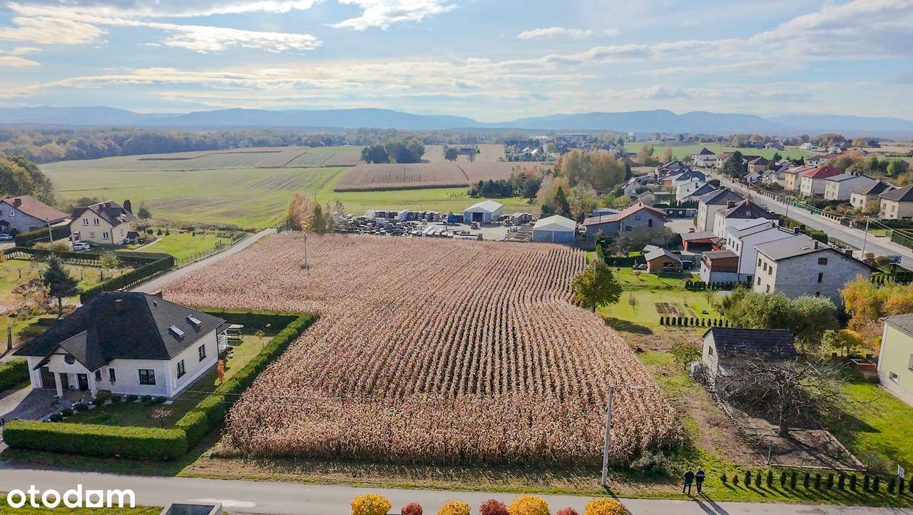Działka w Osieku – w pełni uzbrojona i gotowa do zabudowy | 2260 m2 ! - Pełny obrazek: 4/8
