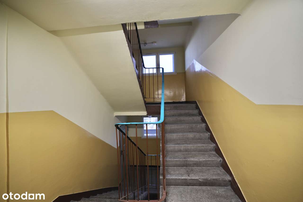 Jesień pełna korzyści * Kup bez prowizji! 0% dla kupującego.-3