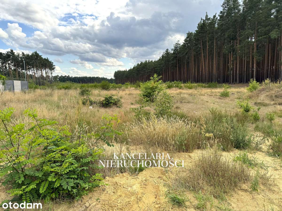 Zakęcie - działka na osiedlu domów, przy lesie ! - Pełny obrazek: 4/8