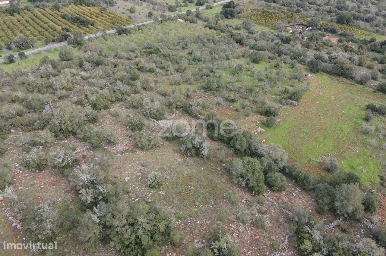 Terreno Rústico com 3.440m2 em Charneca da Torre, Messines - Grande imagem: 5/15