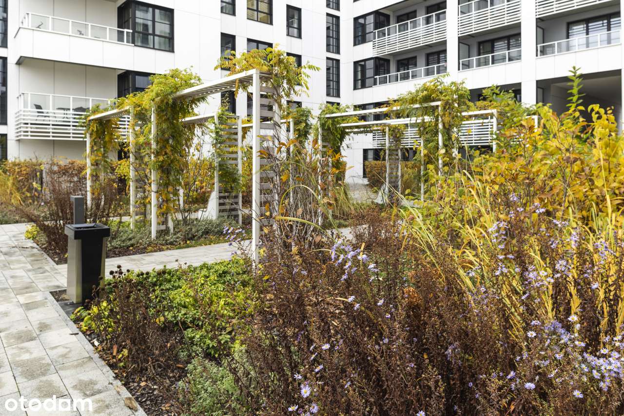 Doki Eurostyl, Młode Miasto, ul. ks. Jerzego Popiełuszki-18