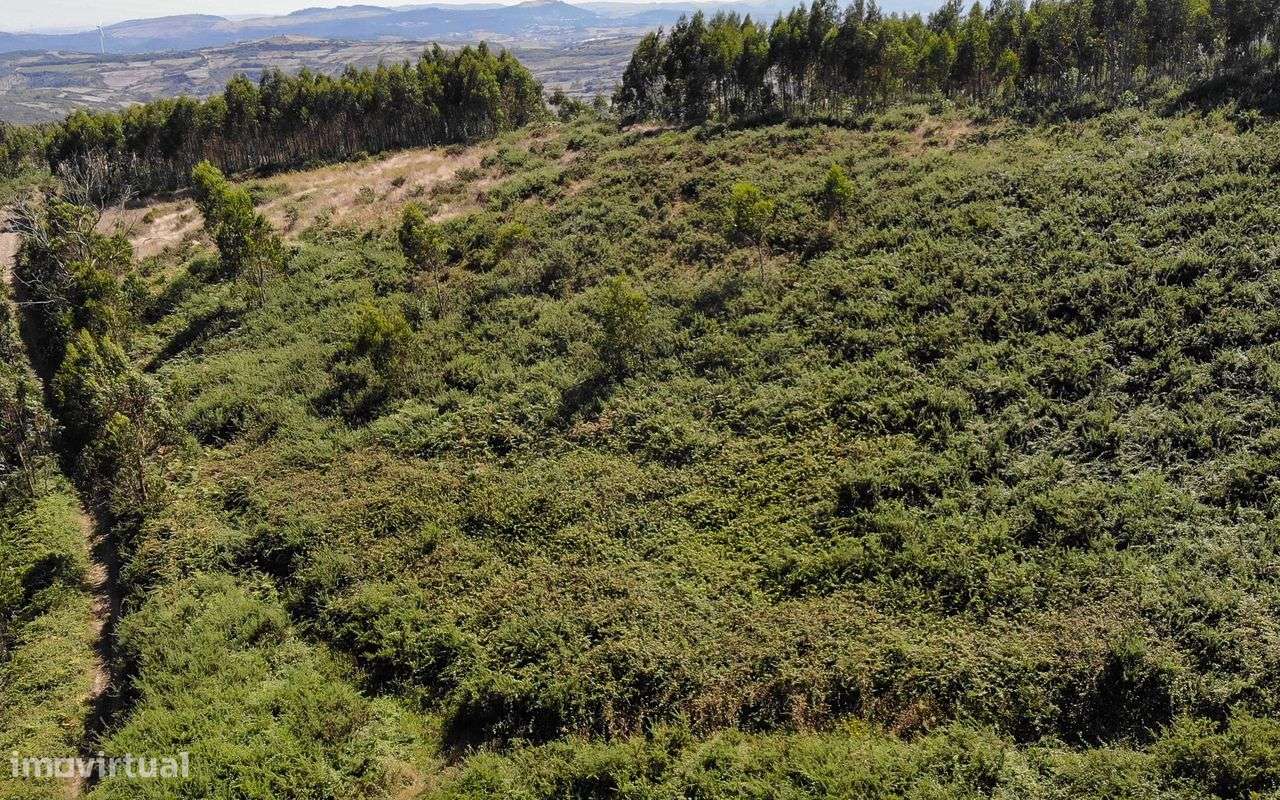 Terreno  para venda - Grande imagem: 3/20