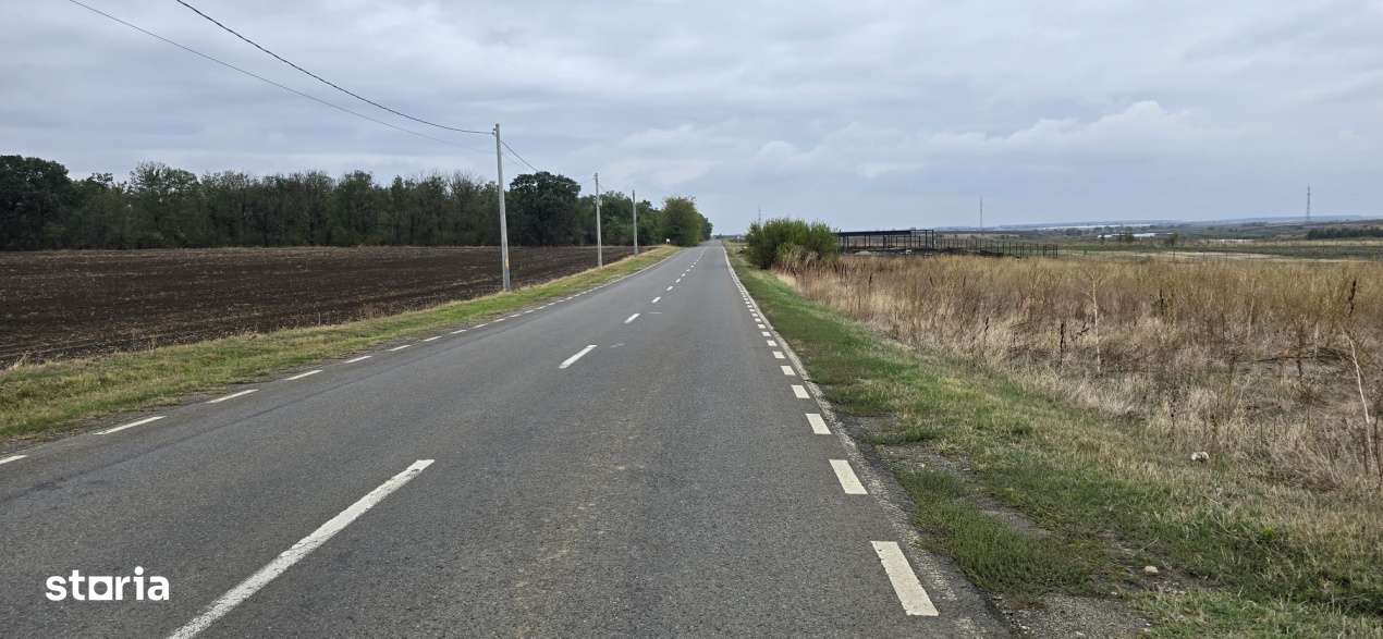 TEREN BRANESTI pentru  MICA DEZVOLTARE IMOBILIARA.-5