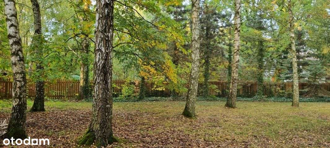 Komorów Budowlana Wkd-5