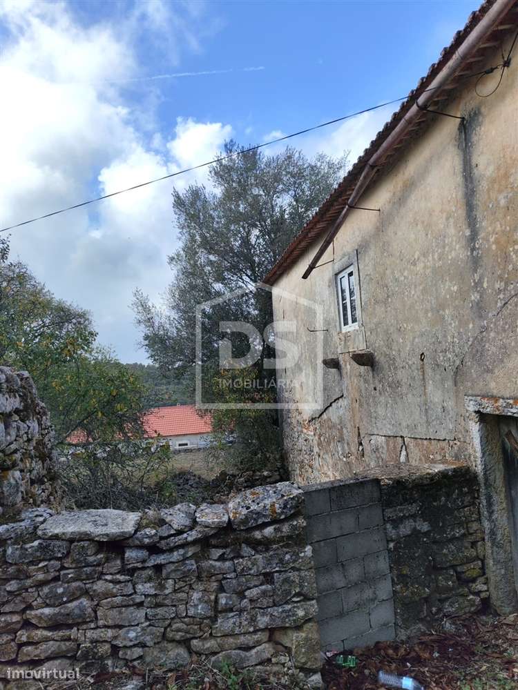 Moradia T3 com terreno de 2640 m² - Grande imagem: 5/14