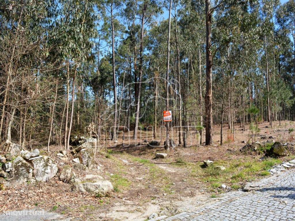 Fantástico terreno em Freixo - Grande imagem: 2/4