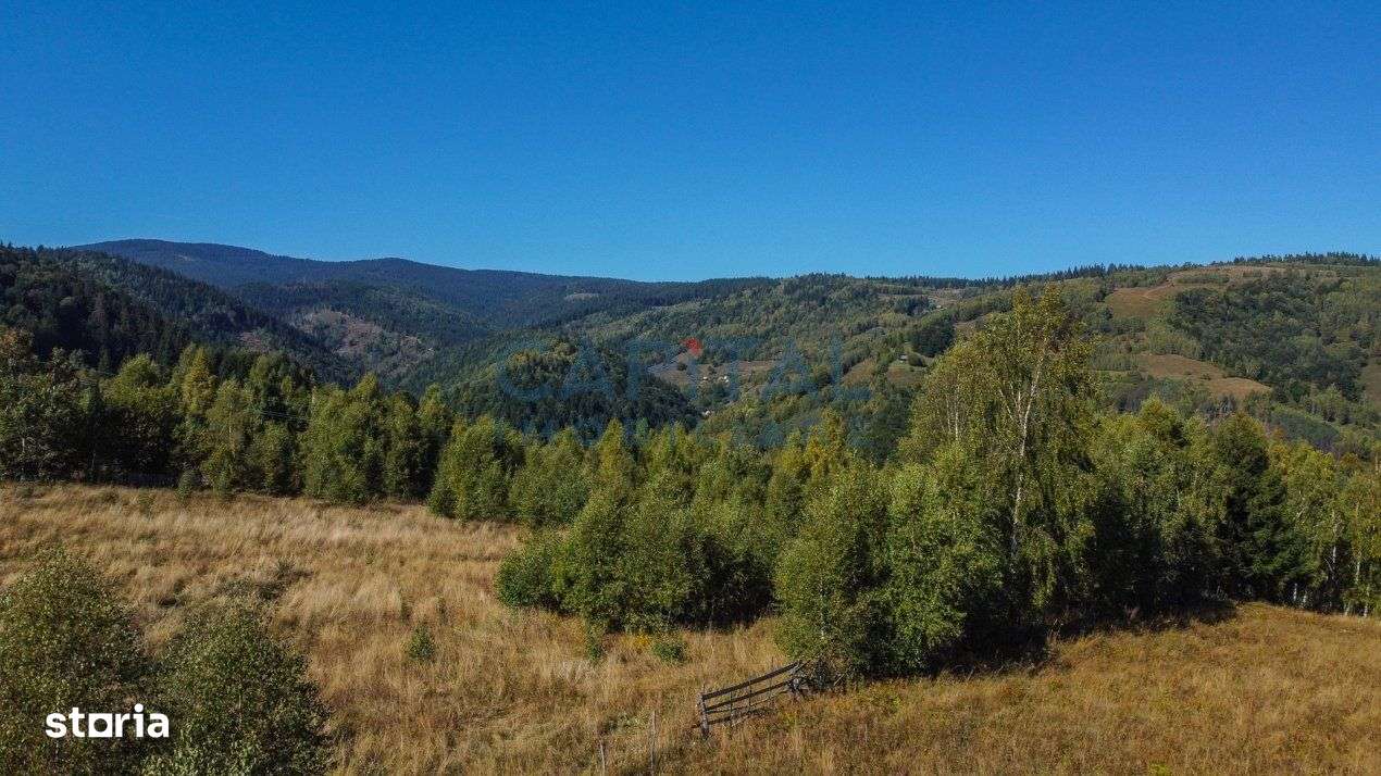 Comision 0% teren intravilan 1000 mp, PUZ, priveliste, Baisoara - Imagine principală: 5/13