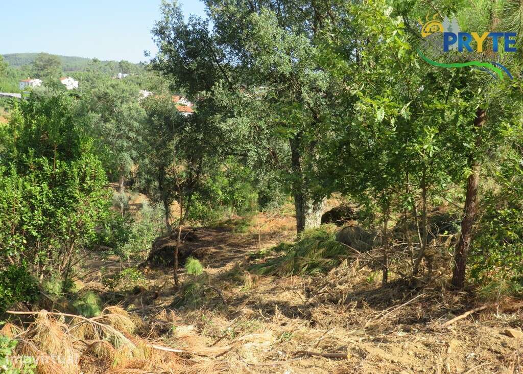 Moradia de tipologia T3 próxima da Vila da Sertã - Grande imagem: 4/60