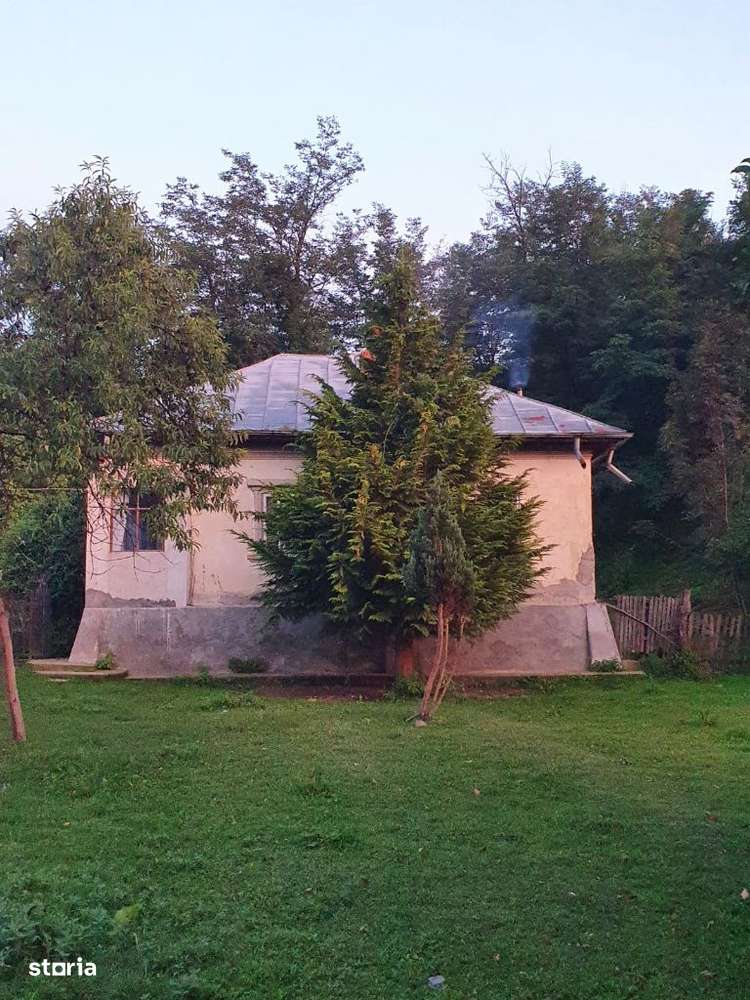 Puciosa Moreni Valea Lunga Sat Izvoru 20000mp teren de vanzare-6