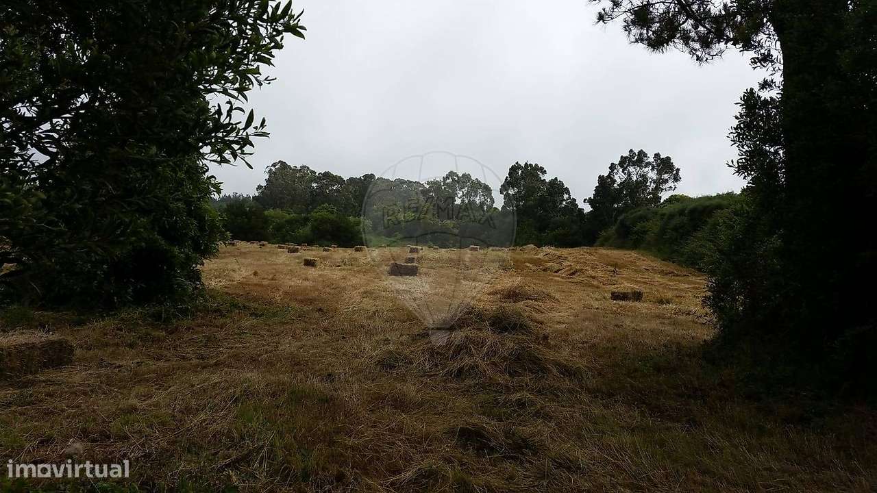 Terreno  para venda - Grande imagem: 5/17