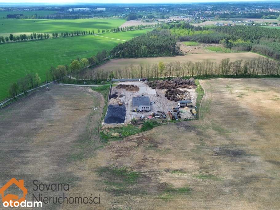 Obiekt produkcyjno-magazynowy Obłotne - Pełny obrazek: 5/16