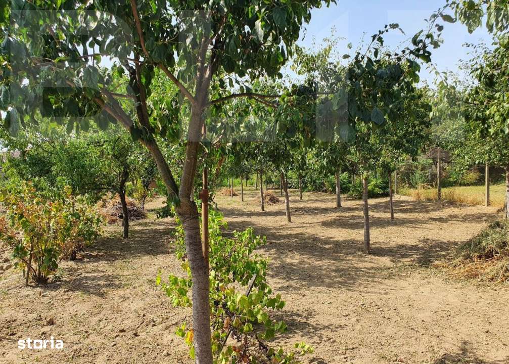 DE VANZARE Casa cu gradina mare in Lugoj - Imagine principală: 5/6