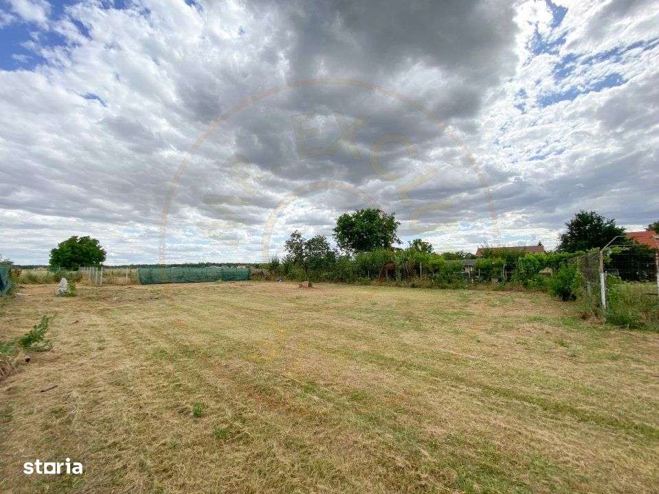 Teren intravilan 1412 mp, Ciofliceni – Ilfov - Imagine principală: 3/8