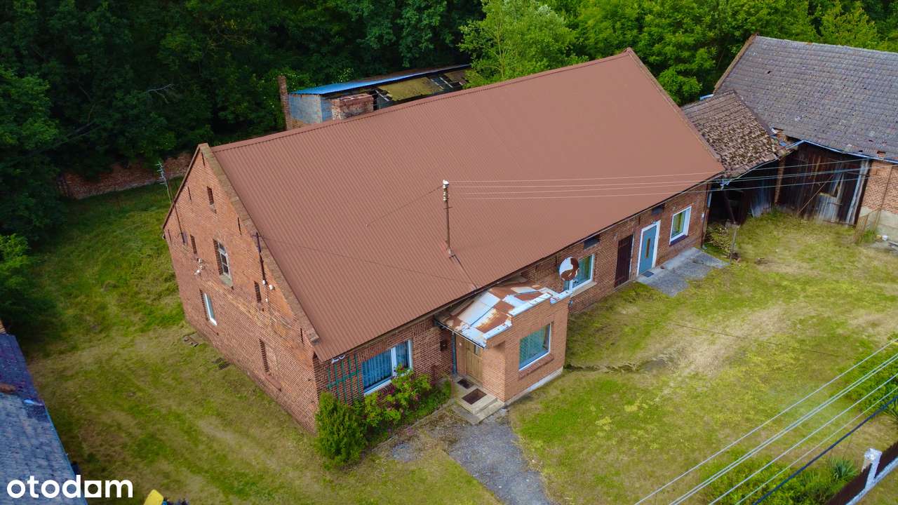 Dom 180 m2 na działce 29 arów plus zabudowania - Pełny obrazek: 4/14