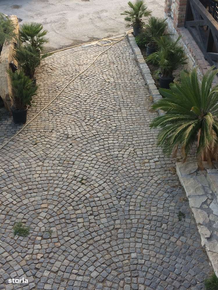 Spatiu comercial-Restaurant plaja salbatica Vadu-16