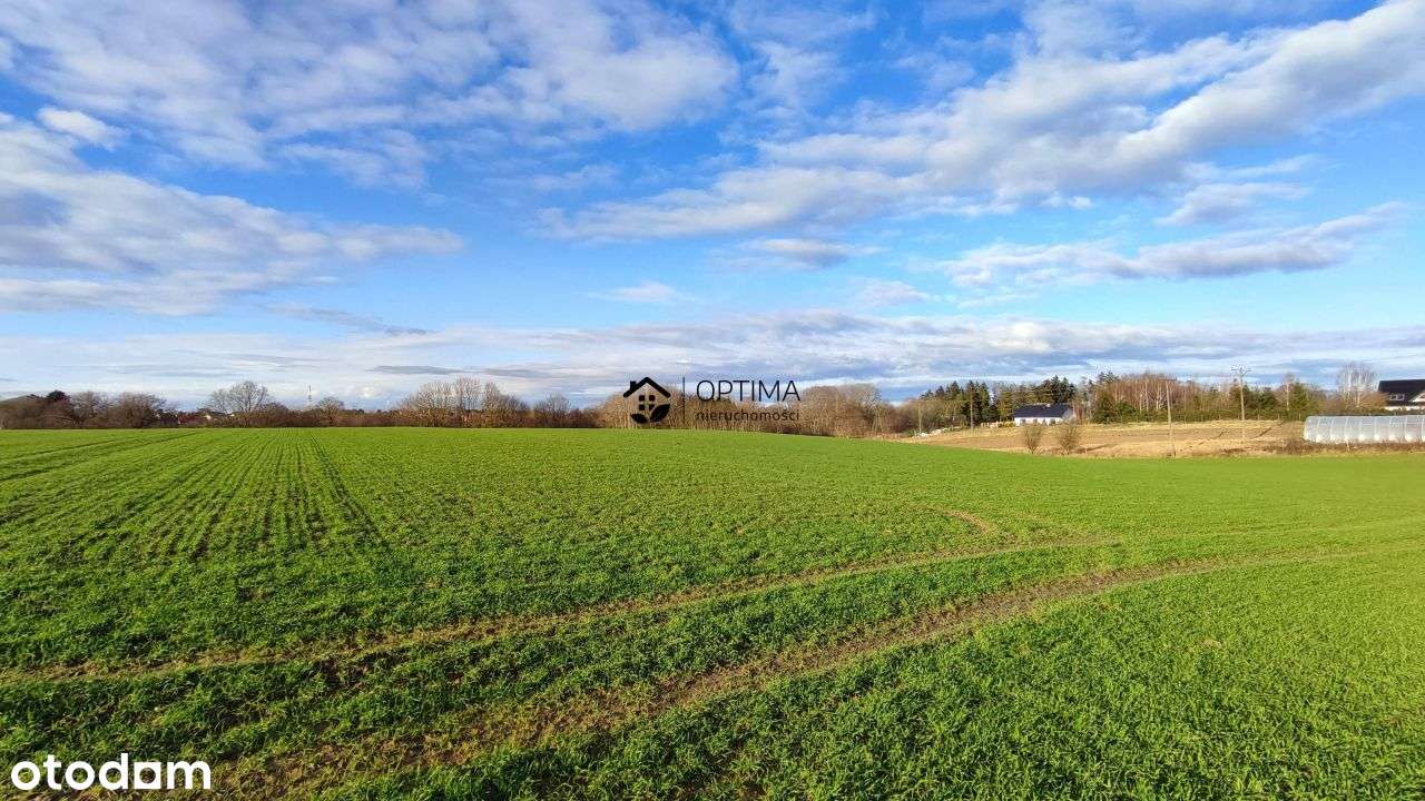 Bociania dz. nr 217/8, 1193m2, 49zł/m2 - Pełny obrazek: 5/10