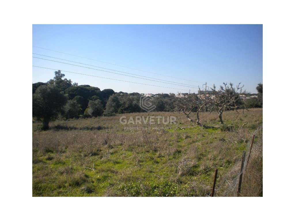 Quinta com casa Palaciana do Sec. XIX, Patã, Albufeira, Algarve - Grande imagem: 4/23