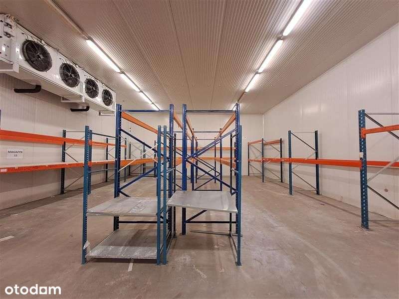 Magazyn z chłodniami w pobliżu autostrady A4.-4