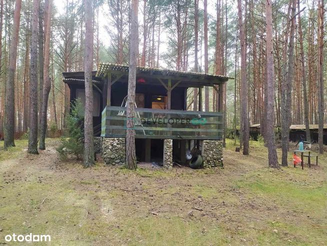 dom rekreacyjny na palach, w otoczeniu lasu.