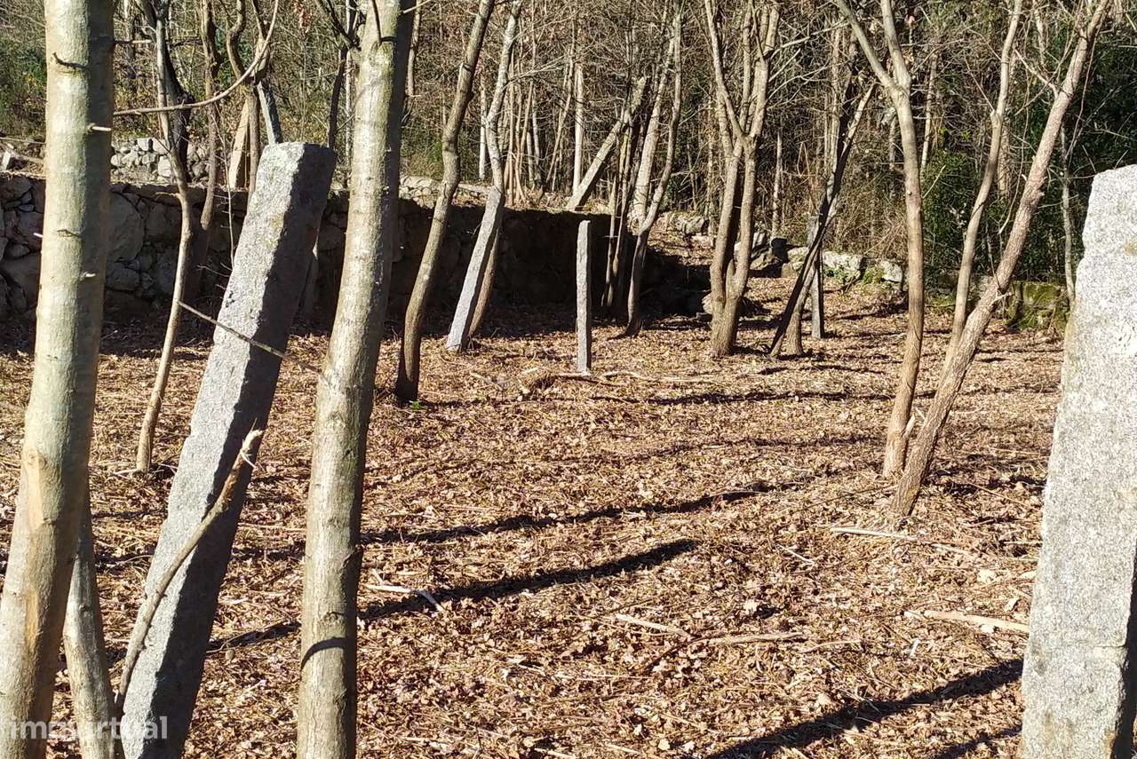 Moradia T0 Venda em Carvalhais e Candal,São Pedro do Sul-4